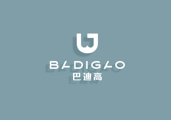 巴迪高-旅行卫品领导者